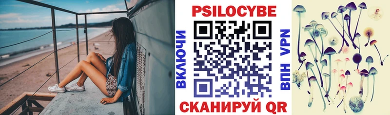 купить   Ершов  кракен онион  Псилоцибиновые грибы GOLDEN TEACHER 